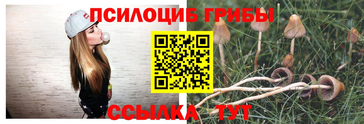 Псилоцибиновые грибы мухоморы Фрязино