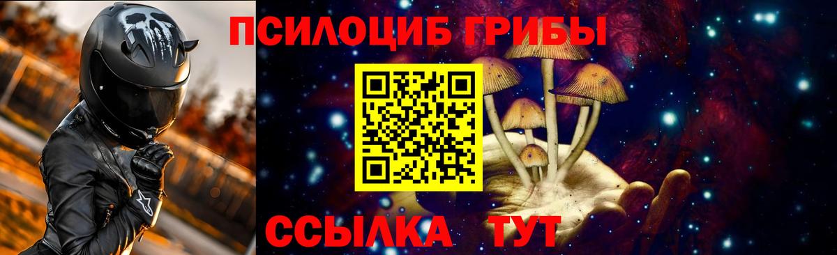 Псилоцибиновые грибы прущие грибы  купить  цена  Псилоцибиновые грибы прущие грибы  Фрязино  Вход с VPN 